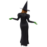 Adult Costume Wicked Witch Size M