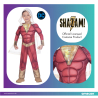 Child Costume Shazam 3- 4 yrs
