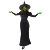Adult Costume Wicked Witch Size M/L