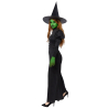 Adult Costume Wicked Witch Size L