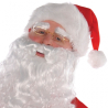 Adult Costume Santa Plush Size L/XL