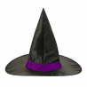 Witch Hat Purple Band One size