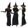 Adult Costume Wicked Witch Size S
