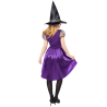 Adult Costume Purple Willow Witch Size M/L